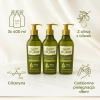 Zestaw 3x Dalan d’Olive 400 ml grafika social media do pielęgnacji dłoni